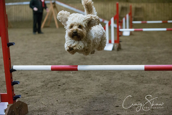 2581_springfling2015_bluplanetphoto