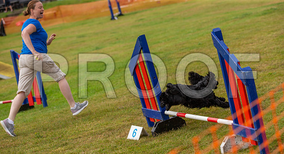0337_SpringersFunDay2019_craigshawphoto