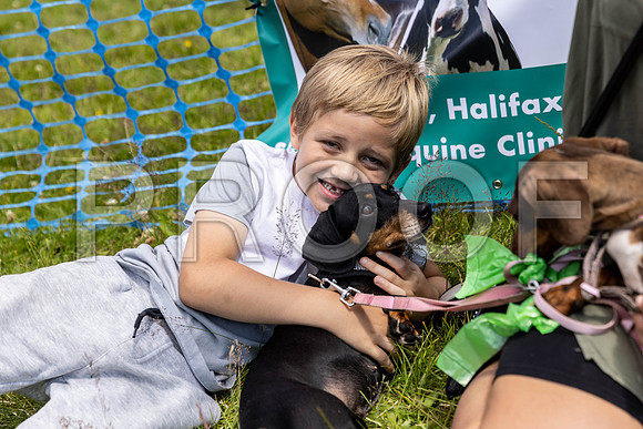 1479__PAWSFundogShow_July2022_cshaw