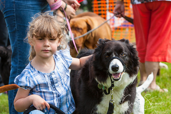 RSPCA Dog Day Afternoon