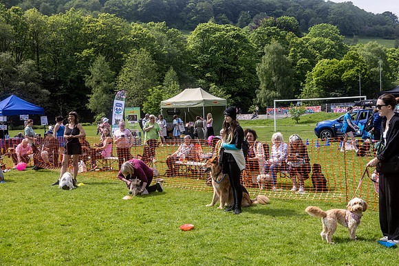 1840_HebdensHappyHounds2024_Cshaw-