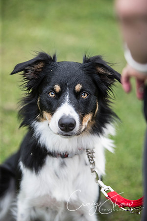 151_BarkintheParkHuddersfield_2014_bluplanetphoto