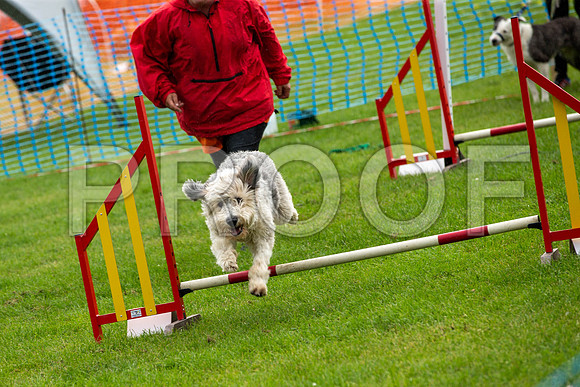 0452_SpringersFunDay2019_craigshawphoto