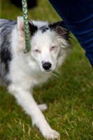 0999_SpringersFunDay2019_craigshawphoto