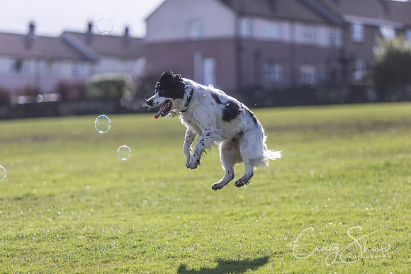 1518__SpringersFunDay_March2014_bluplanetphoto
