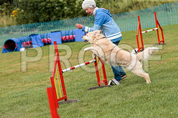 3195_SpringersFunDay2019_craigshawphoto