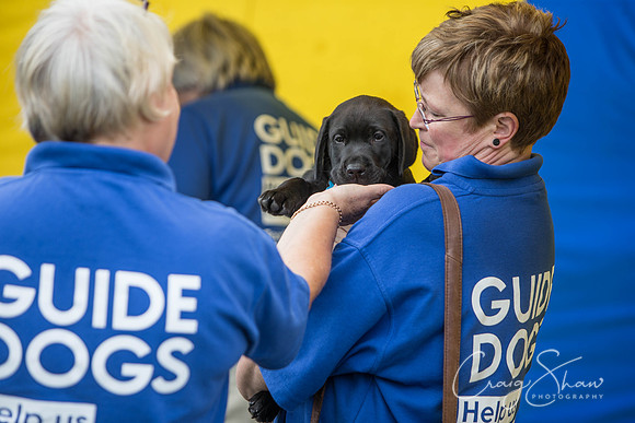 238_BarkintheParkHuddersfield_2014_bluplanetphoto