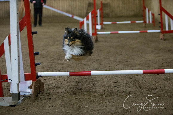 2772_springfling2015_bluplanetphoto