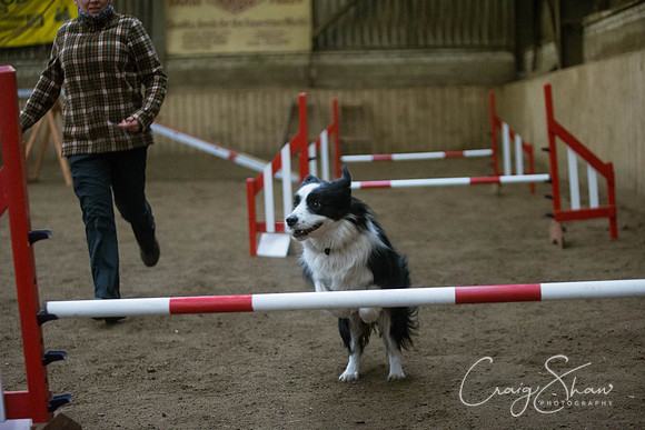 2646_springfling2015_bluplanetphoto