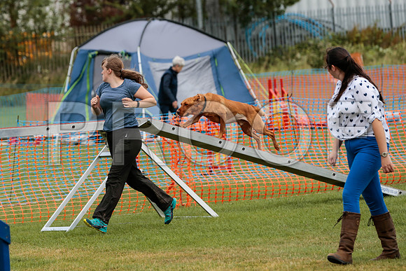 3258_SpringersFunDay2019_craigshawphoto