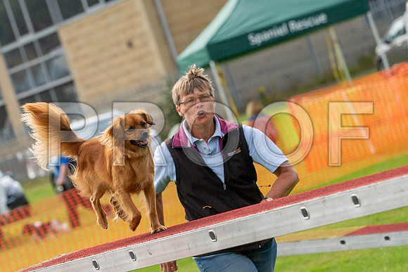 0842_SpringersFunDay2019_craigshawphoto