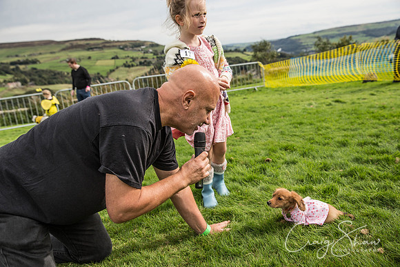 355_Woofstock2016_craigshaw