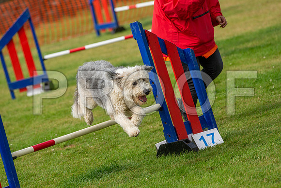 1164_SpringersFunDay2019_craigshawphoto