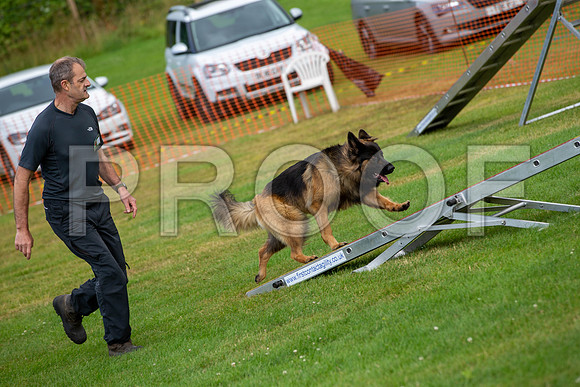 1132_SpringersFunDay2019_craigshawphoto