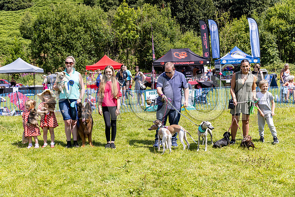 1617__PAWSFundogShow_July2022_cshaw