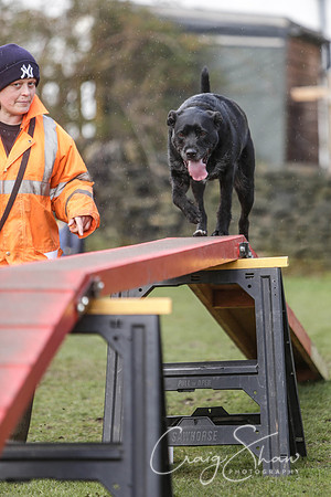 111__SpringersFunDay_March2014_bluplanetphoto