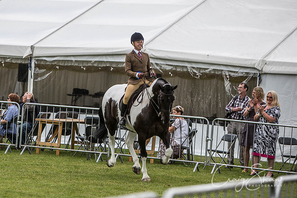 598_TodAgriculturalShow2014__bluplanetphoto