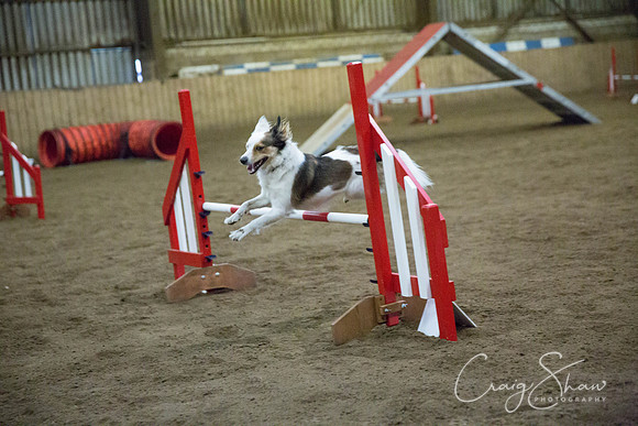 583_springfling2015_bluplanetphoto