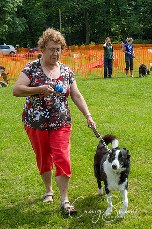 RSPCA Dog Day Afternoon