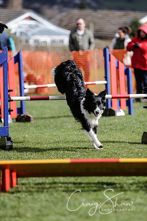 795__SpringersFunDay_March2014_bluplanetphoto