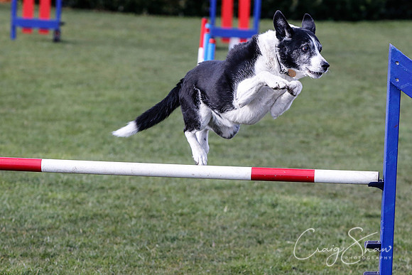 1706__SpringersFunDay_March2014_bluplanetphoto