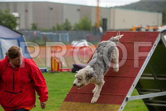 0462_SpringersFunDay2019_craigshawphoto