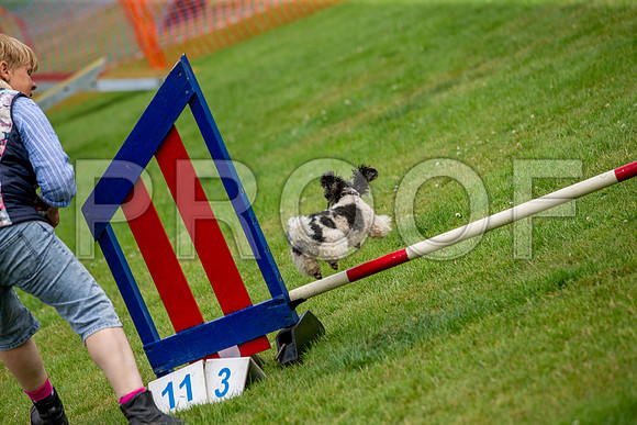 1775_SpringersFunDay2019_craigshawphoto