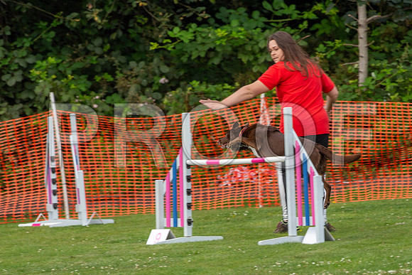 1838_SpringersFunDay2019_craigshawphoto