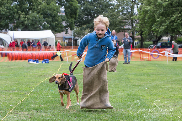 1994_BarkintheParkHuddersfield_2014_bluplanetphoto