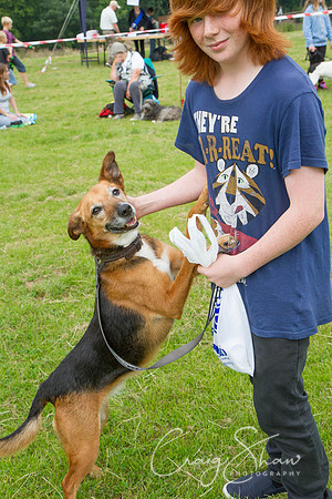 RSPCA Dog Day Afternoon