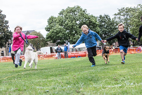 1866_BarkintheParkHuddersfield_2014_bluplanetphoto