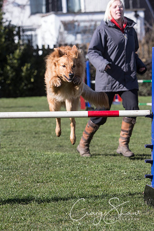 1626__SpringersFunDay_March2014_bluplanetphoto