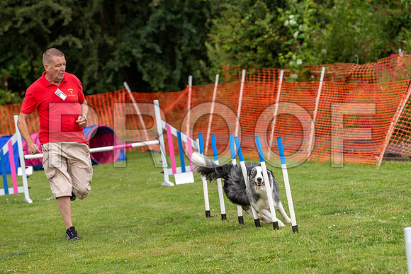 2062_SpringersFunDay2019_craigshawphoto