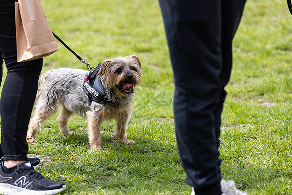 2484_HebdensHappyHounds2024_Cshaw-