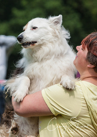 RSPCA Dog Day Afternoon