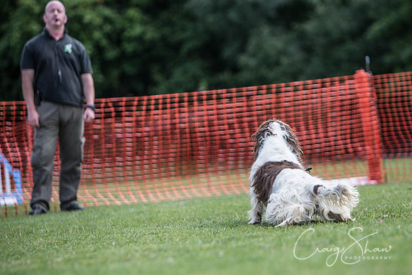 379_HebdenHappyHounds_2014_bluplanetphoto