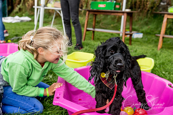 211_Woofstock2016_craigshaw