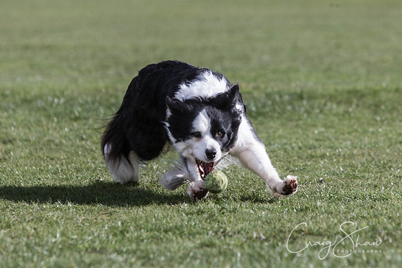 1288__SpringersFunDay_March2014_bluplanetphoto
