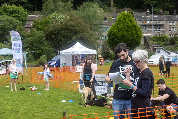 2332_HebdensHappyHounds2024_Cshaw-