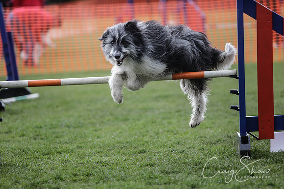483__SpringersFunDay_March2014_bluplanetphoto