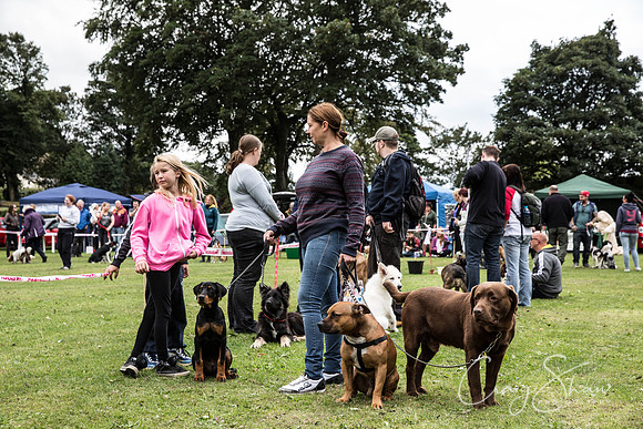 185_BarkintheParkHuddersfield_2014_bluplanetphoto