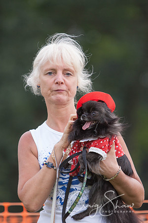 RSPCA Dog Day Afternoon