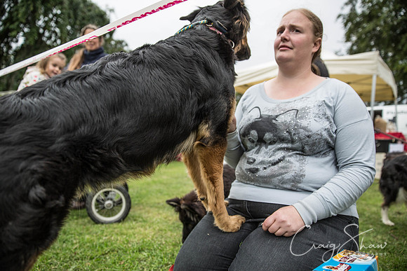 1963_BarkintheParkHuddersfield_2014_bluplanetphoto