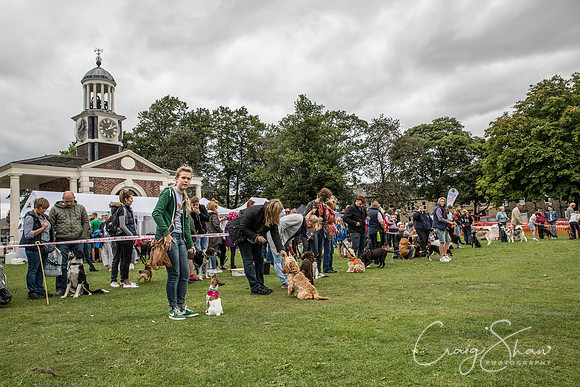 384_BarkintheParkHuddersfield_2014_bluplanetphoto