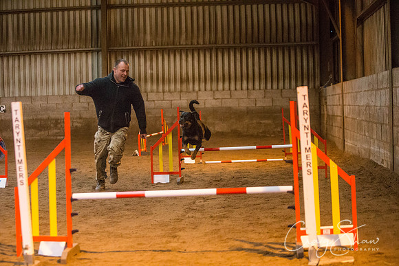 112_springfling2015_bluplanetphoto