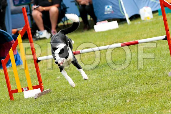 2564_SpringersFunDay2019_craigshawphoto
