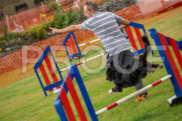 1024_SpringersFunDay2019_craigshawphoto