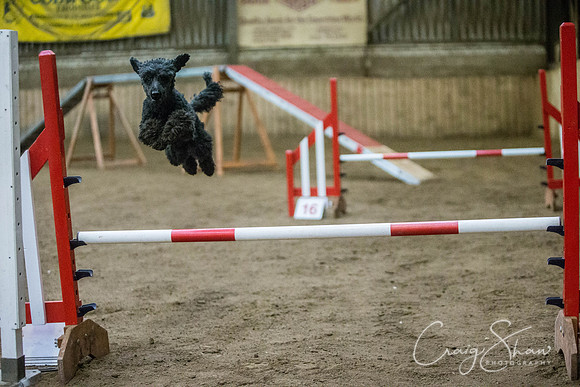 1422_springfling2015_bluplanetphoto