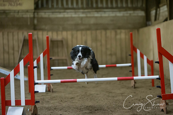 2671_springfling2015_bluplanetphoto