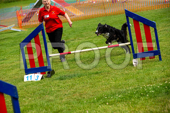 1512_SpringersFunDay2019_craigshawphoto